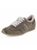 Paul Green Low Sneaker in grün