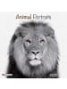 TUSHITA Kalender - Animal Portrait 2026