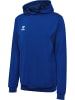 Hummel Hoodie "Hmlauthentic Pl Hoodie" in Blau