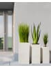 Beliani Outdoor Blumentopf DION in Beige - (W) 40 x (H) 77 x (L) 40 cm