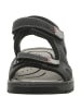 rieker Sandalen in schwarz