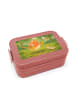 Mr. & Mrs. Panda Lunch Box Rotkehlchen Federn Design ohne Spruch in Rot Pastell