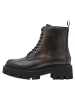 Tamaris Stiefelette in CIGAR