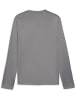 Puma Pullover "TeamGoal Training Sweat" in Grau