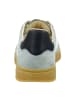 Gant Sneaker Low in Grau