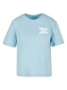 Mister Tee T-Shirts in oceanblue
