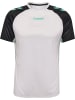 Hummel T-Shirt Hmlblaze Herren in VAPOROUS GRAY/POOL BLUE