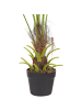 Beliani Kunstpflanze FAN PALM in Grün/Schwarz - (W) 35 x (H) 100 x (L) 30 cm