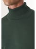 Felix Hardy Pullover in Dunkel Grün