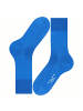 Falke Socken 2er Pack in Blau (Sapphire)
