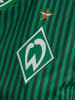 Hummel Hummel T-Shirt Wer 23/24 Fußball Damen Schnelltrocknend in EDEN