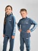 Hummel Hummel Reißverschluss Sweatshirt Hmljr Goal Multisport Kinder in BERING SEA