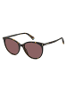 Polaroid Frauen Sonnenbrille Katzenaugen Braun