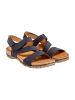 El Naturalista Sandalen blau