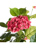 Beliani Kunstpflanze HORTENSIUM in Rot/Grün - (W) 70 x (H) 120 x (L) 70 cm
