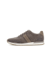 Pius Gabor Sneaker low in grau