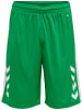 Hummel Hummel Shorts Hmlcore Basketball Unisex Erwachsene Feuchtigkeitsabsorbierenden in JELLY BEAN