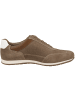 Josef Seibel Sneaker low Colby 03 in braun