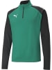 Puma Pullover "TeamLIGA 1/4 Zip Top" in Grün