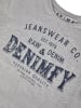 DENIMFY T-Shirt DFNuri in Grau