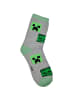 Minecraft Minecraft Creeper Socken 3er Pack in bunt