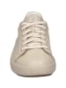 Josef Seibel Sneaker Claire 01 in sand