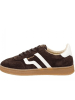 Gant Sneaker Cuzima in Braun