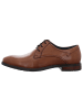 Josef Seibel Klassischer Schnürschuh in braun