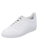adidas Schnürschuhe in white/white/black