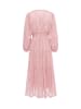 caspio Women Dress in Rose