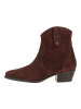 Högl Stiefelette in Braun