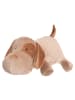 4Living Kissen in beige