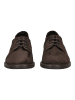 Paul Green Halbschuhe in Moro