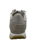 Cetti Sneaker Low in Beige
