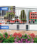 Maximex Balkon-Sichtschutz, 5 m, Balkon-Sichtschutz Mauer-Blumen, 5 m in Mehrfarbig