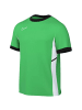 Nike Nike Dri-FIT Academy 25 SS Top in Grün
