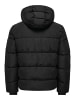 ONLY & SONS Daunenjacke in Black
