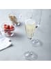 LEONARDO 12er Set Sektglas Daily in 200 ml in transparent