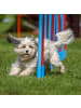 relaxdays Dog Agility Wippe in Bunt