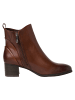 Marco Tozzi Stiefelette in CHESTNUT