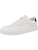 Calvin Klein Sneaker low Low Top Lace Up Knit in weiss