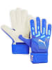 Puma Torwarthandschuh "Future Match NC" in Blau