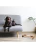 relaxdays Hunde-Futterstation in Natur/ Weiß- (B)46,5 x (H)9,5 x (T)17 cm