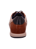 Bugatti Sneaker Low in braun