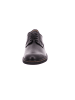 Gabor Schnürschuhe in schwarz