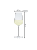 Spiegelau 6er Set Weißweingläser + Poliertuch Definition 430 ml in transparent