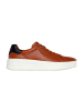 Skechers Sneaker Low in Braun