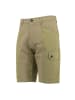 Jack Wolfskin Hose Dawson Lake Flex Cargo Shorts in Grün