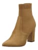 Steve Madden Stiefelette in Camel