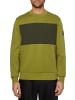 Calvin Klein Sweatshirt in LRV